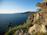 Корсика